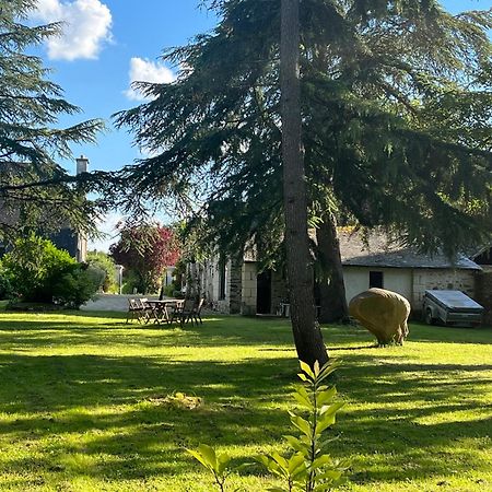 Maison De Charme Saint-Saturnin-sur-Loire Esterno foto